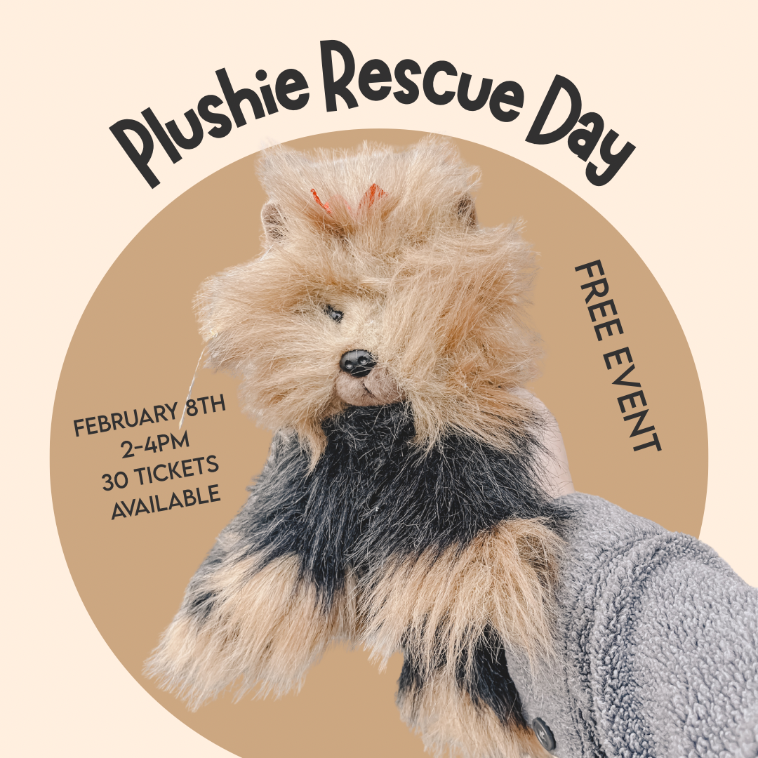 Plushie Rescue Day